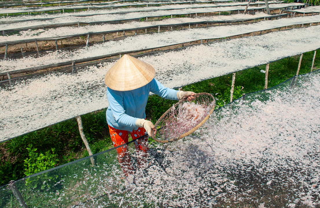 Ca Mau
