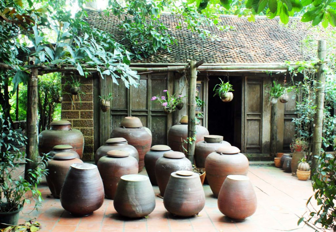 Vivid Image of Vietnam & Thailand
