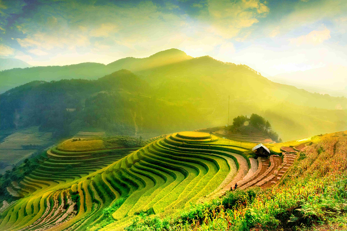 Trails of North-East and Hill Tribes