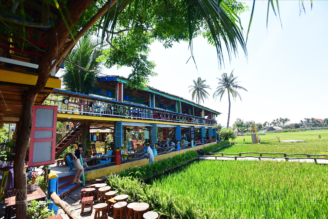 Cultural Kitchen Experience - Cooking, Farming & Local Flavours