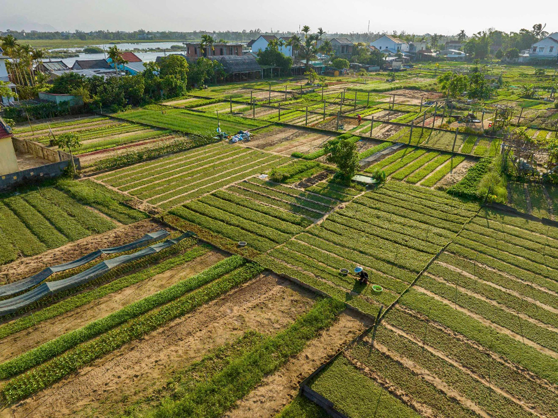 Central Vietnam