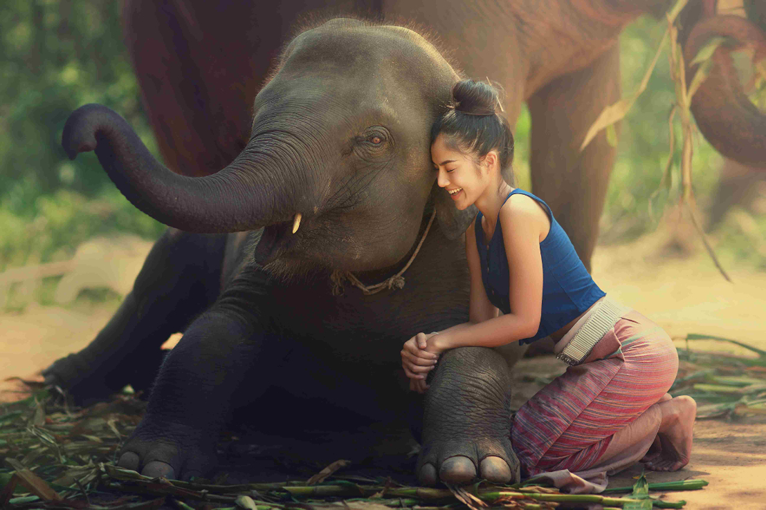Vivid Image of Vietnam & Thailand