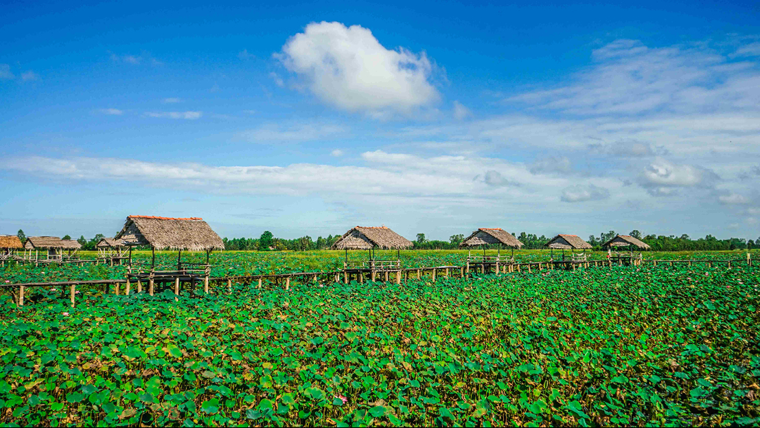 A Diversified Southern Vietnam