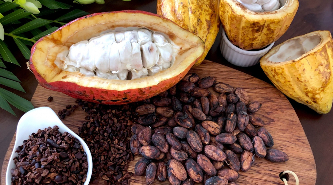 Binon Cacao Park