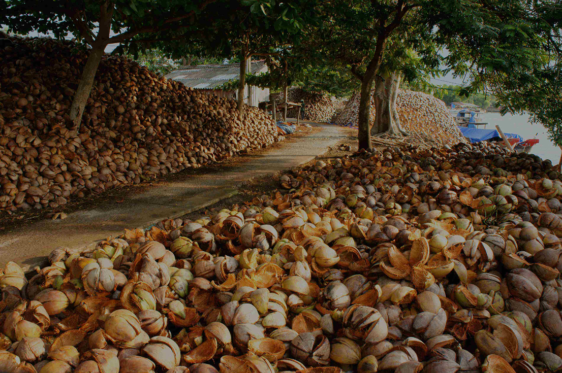 Tan Thach Coconut Village