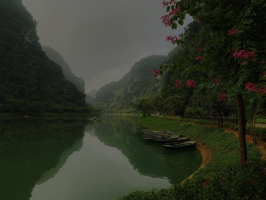 Tuyet Tinh Coc