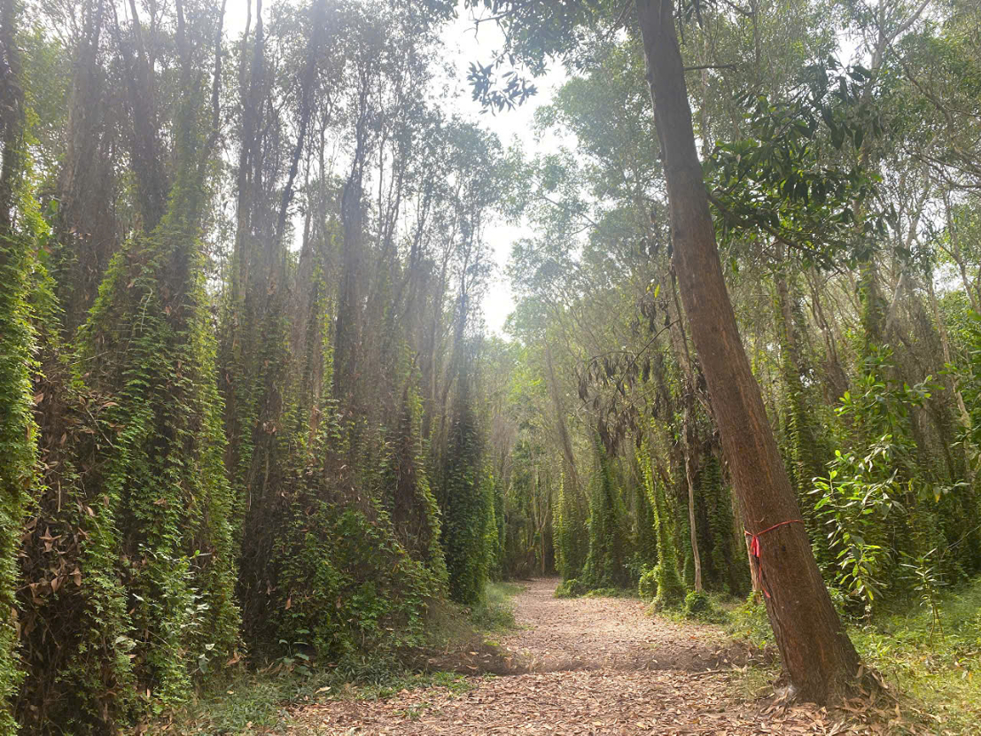 Binh Chau - Phuoc Buu Nature Reserve