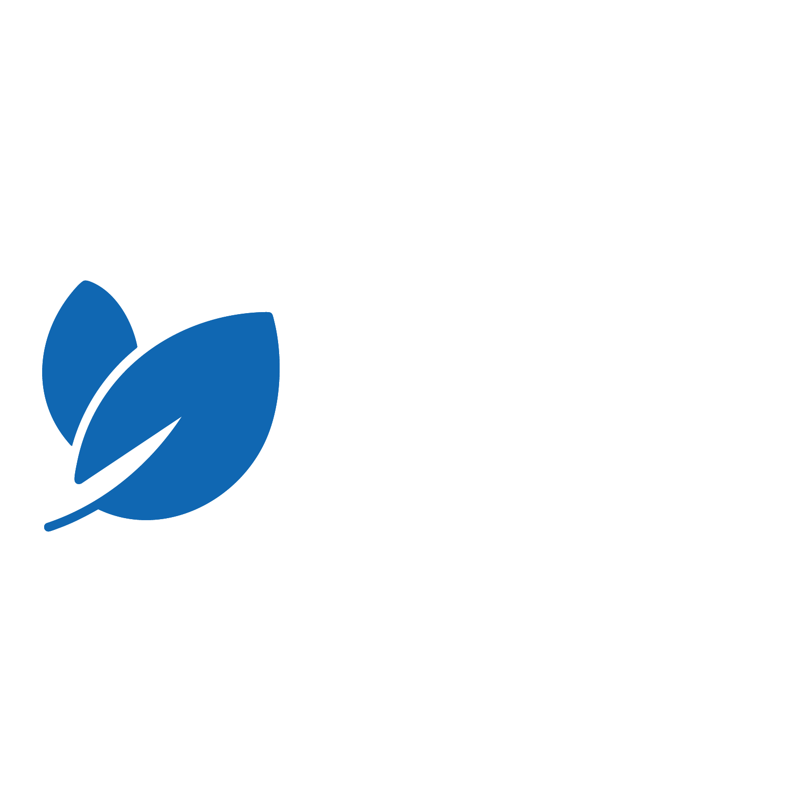 GREEN ECONOMY