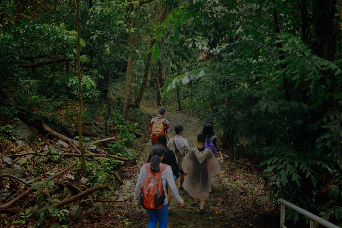 Ong Dung Primary Forest