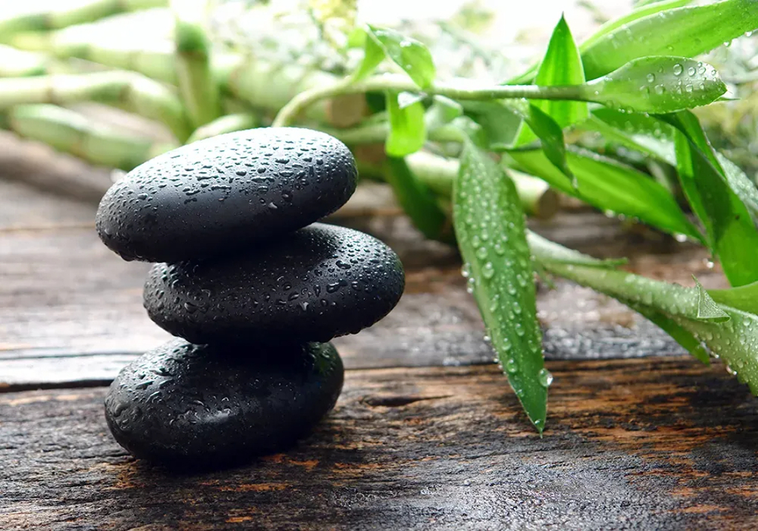 Holistic Health System: from treatment to prevention